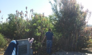 20160416_100332