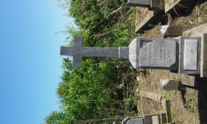20160416_111618
