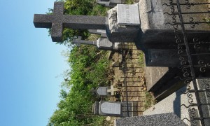 20160416_111815